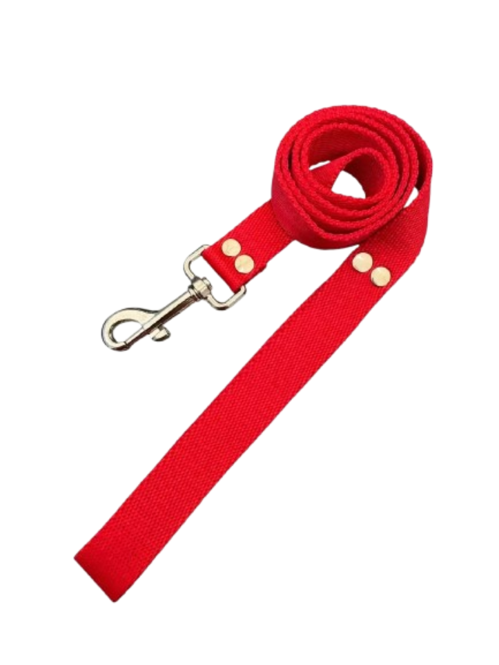 Pet Belt
